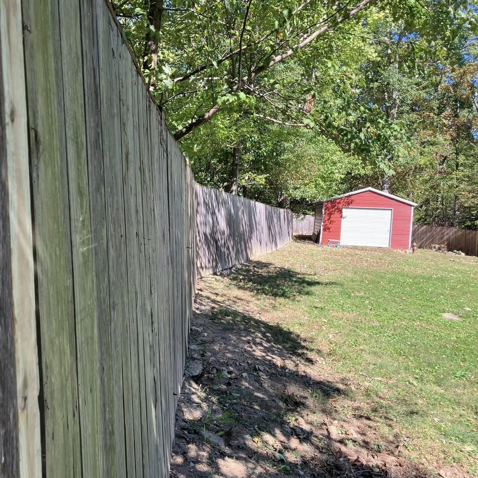 A backyard fence line with fresh green lawn established