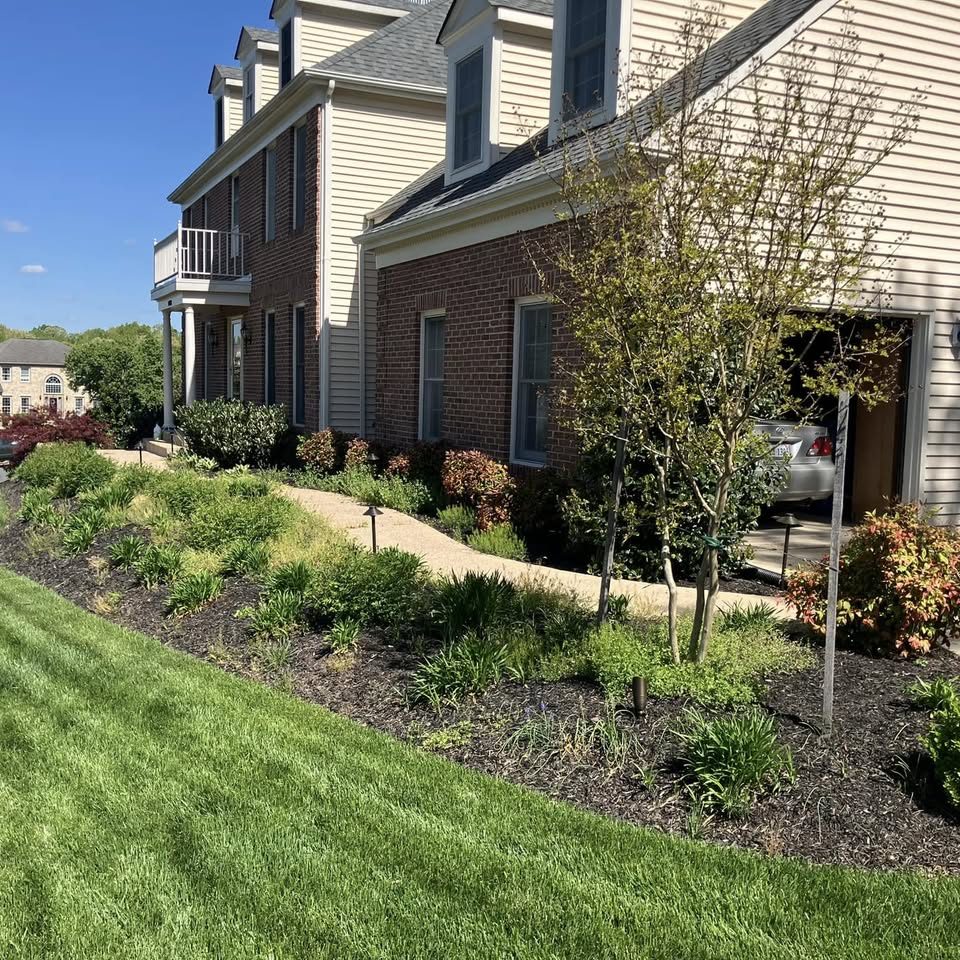 A freshly mowed front lawn beside mulched beds